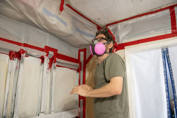 Best Forensic Mold Investigation  in Soh Weber, UT