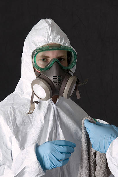 Best Mold-Related Health Consultation  in Soh Weber, UT